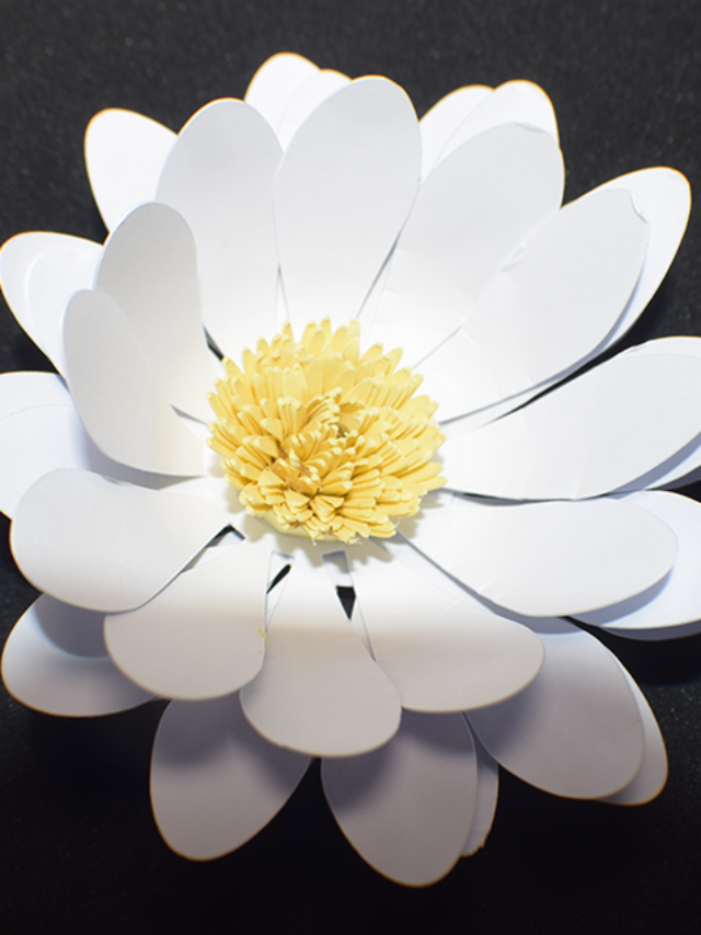 Cricut Craft: Crafting a Paper Daisy Tutorial Story