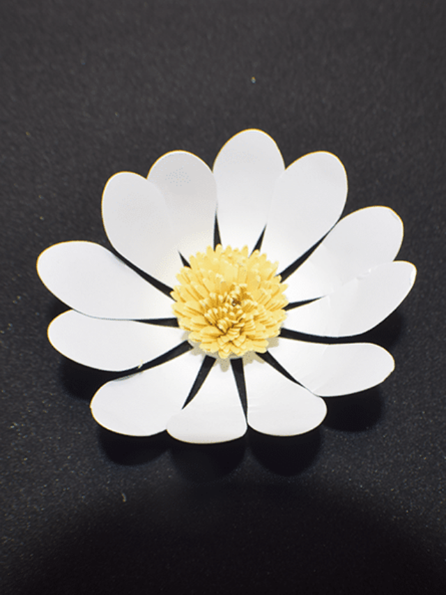 Cricut Paper Daisy Tutorial Story