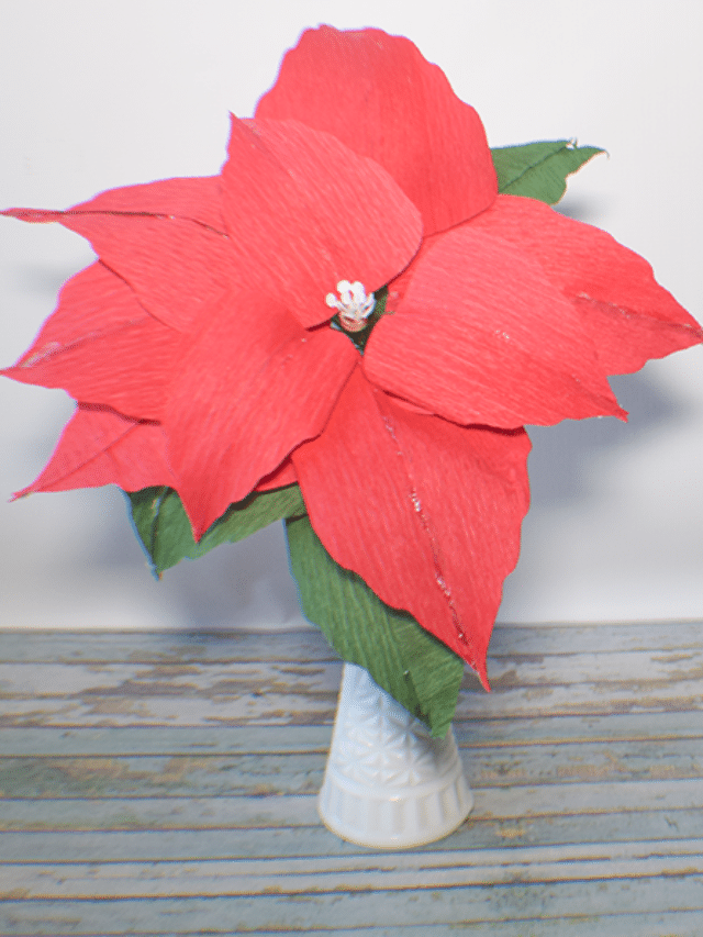 How to Make Crepe Paper Poinsettias using Cricut Story