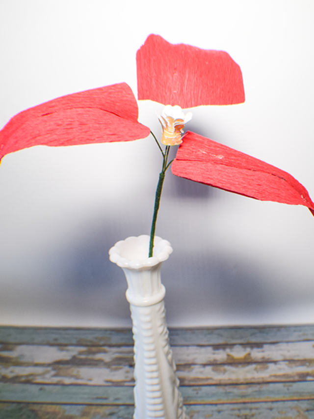 Guide to Make Crepe Paper Poinsettias using Cricut Story