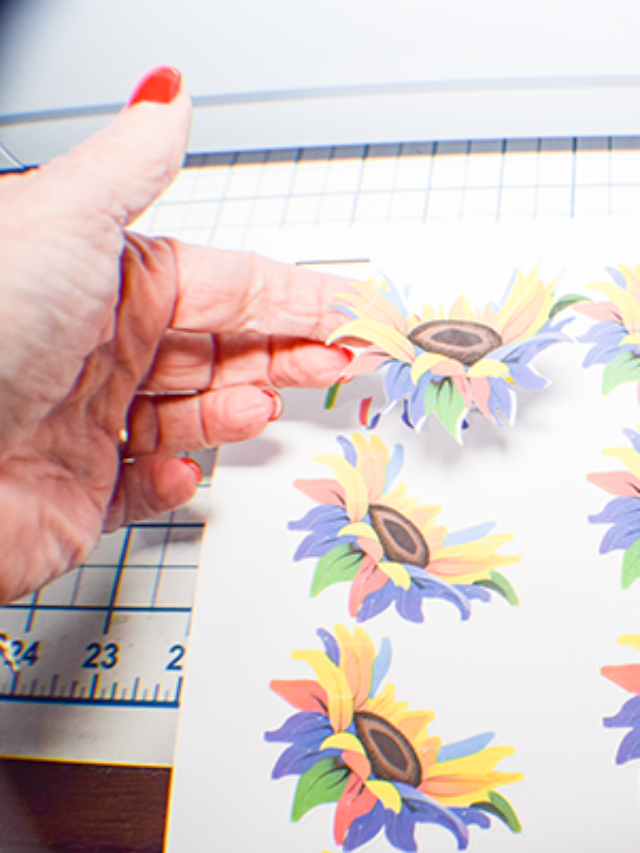 Cricut Sticker DIY Story